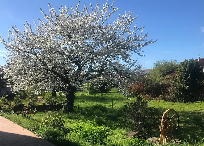 Et Table D'hotes Le Pontet Bed & Breakfast