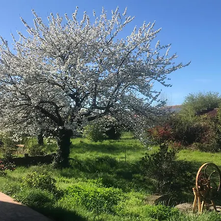 Et Table D'hotes Le Pontet לינה וארוחת בוקר